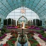 Como Park Zoo and Conservatory