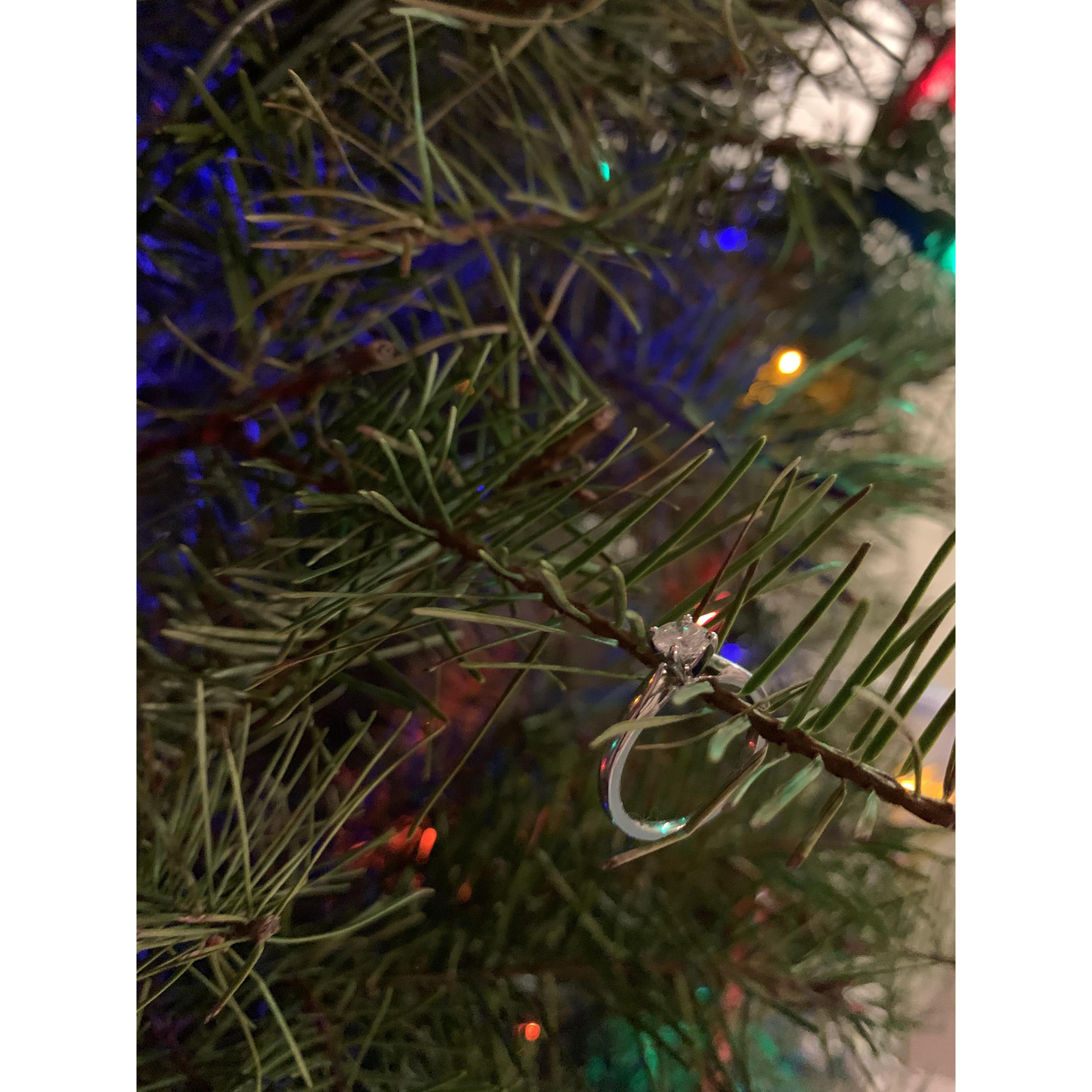 Christmas 2019
