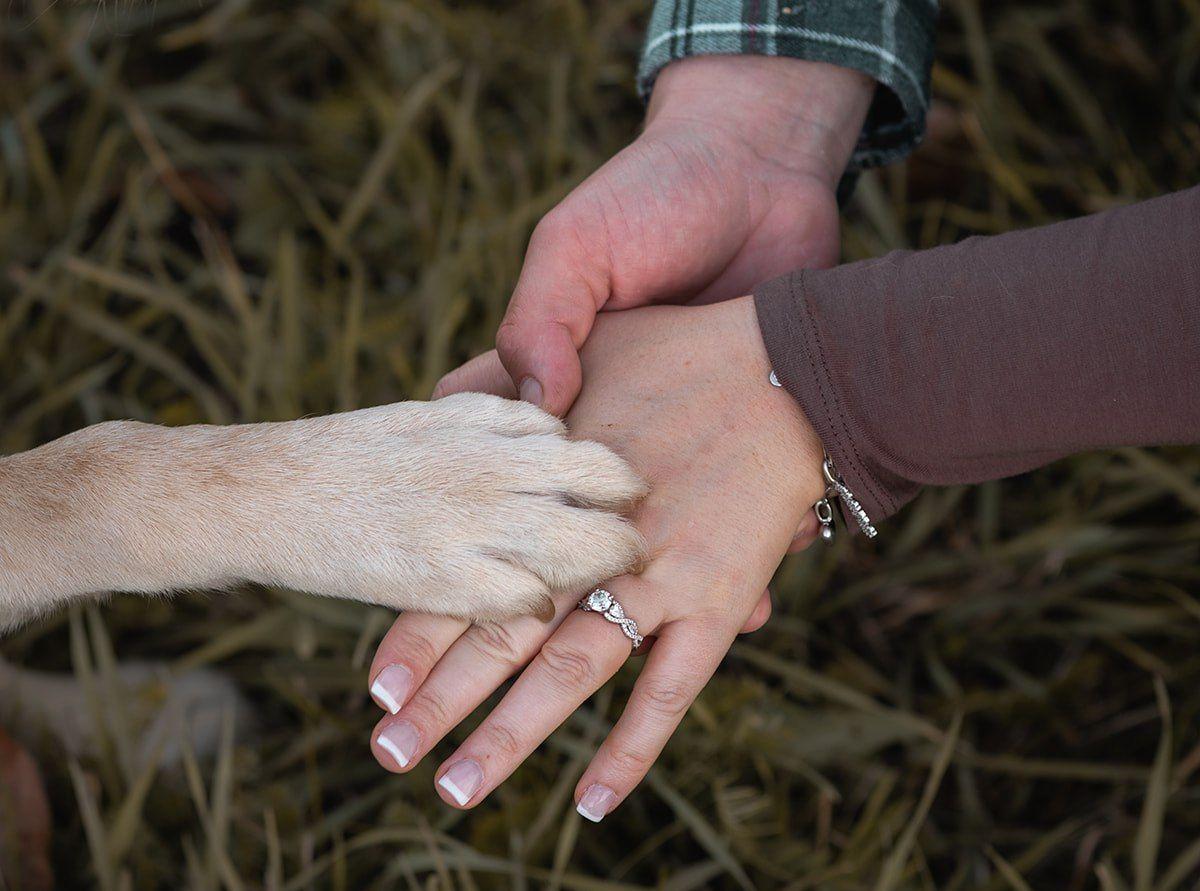 7c8b87d3-99d8-40c4-8315-9145d284a0f0