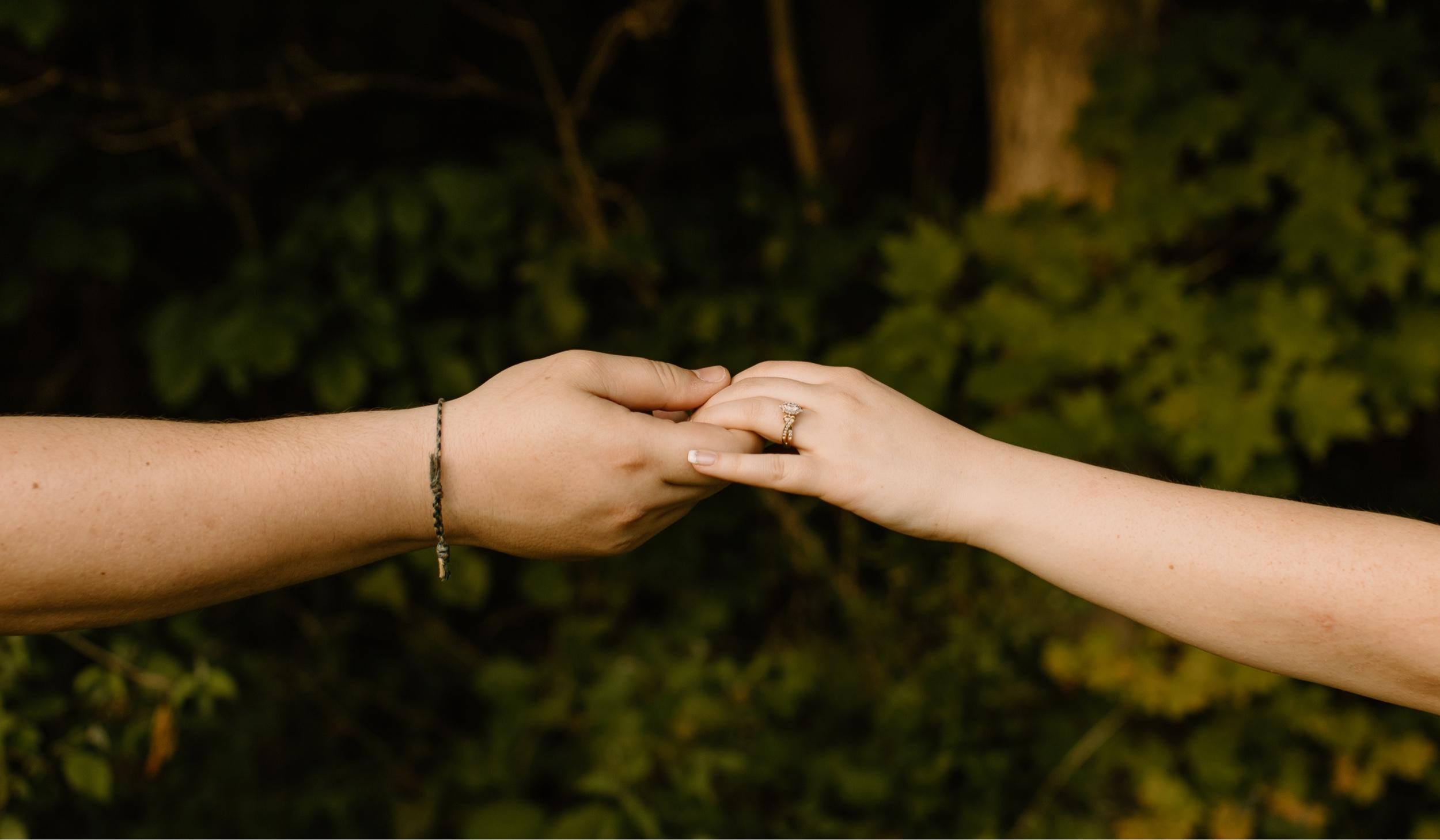 The Wedding Website of Jesse Diedrich and Gabriel Dickerson