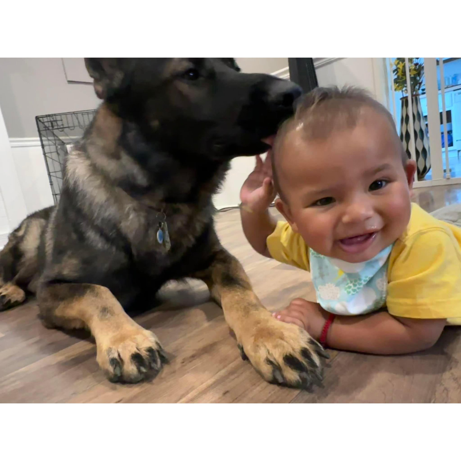 Our Boys Buddy Davis & Christopher H. Davis