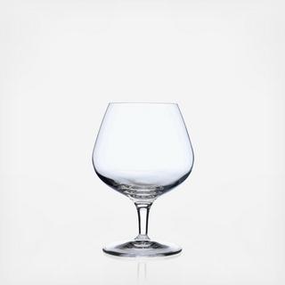 Michelangelo Brandy Glass, Set of 4