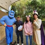 Disneyland Park
