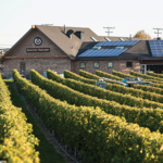 Newport Vineyards