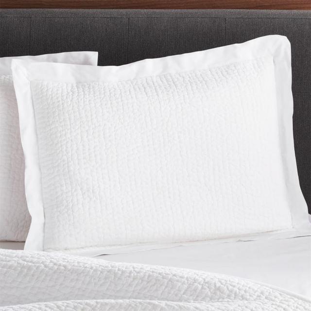 Celeste White Cotton Solid Euro Sham
