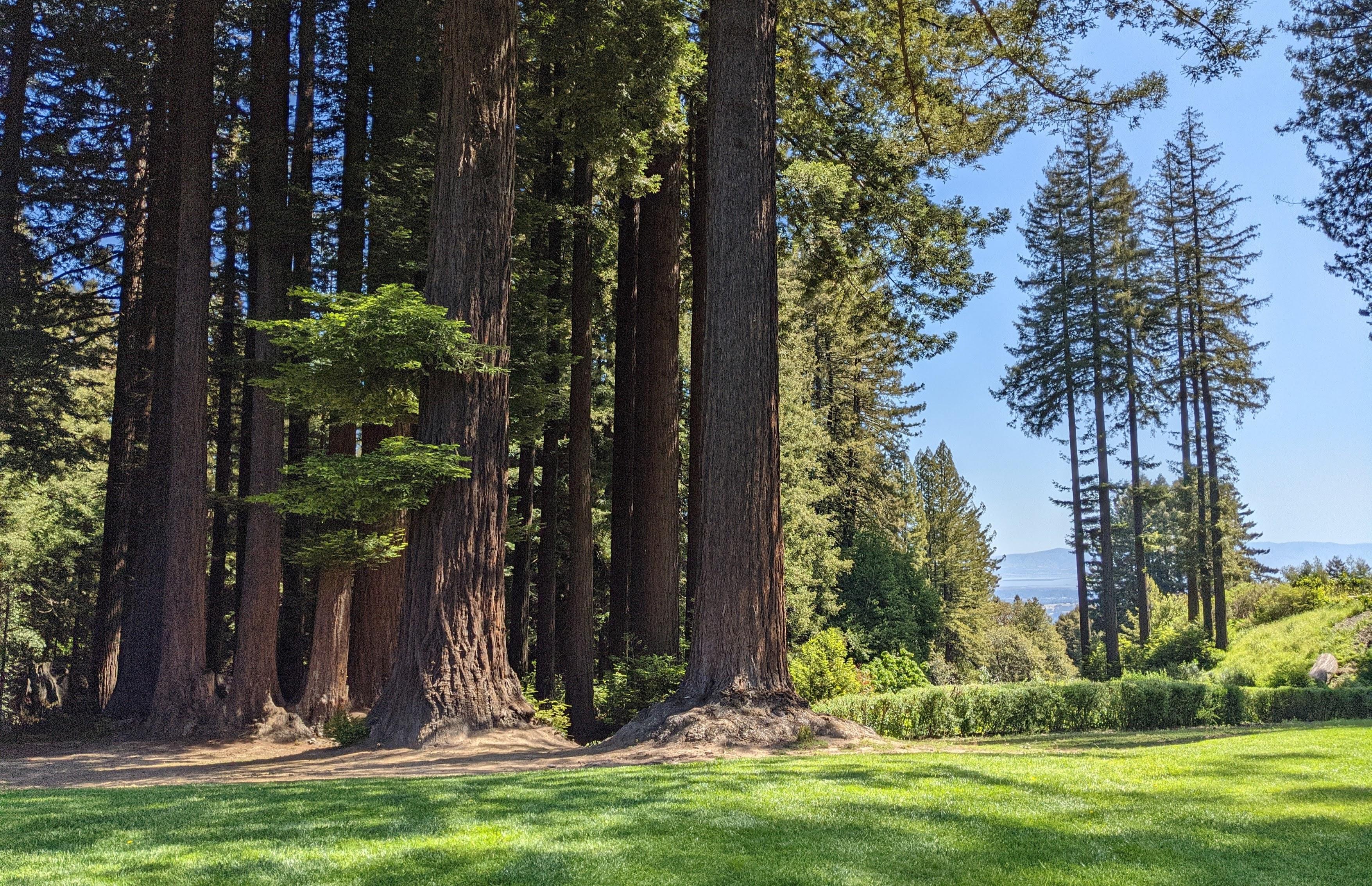 The Wedding Website of Cindy Wang and Lance Lambert