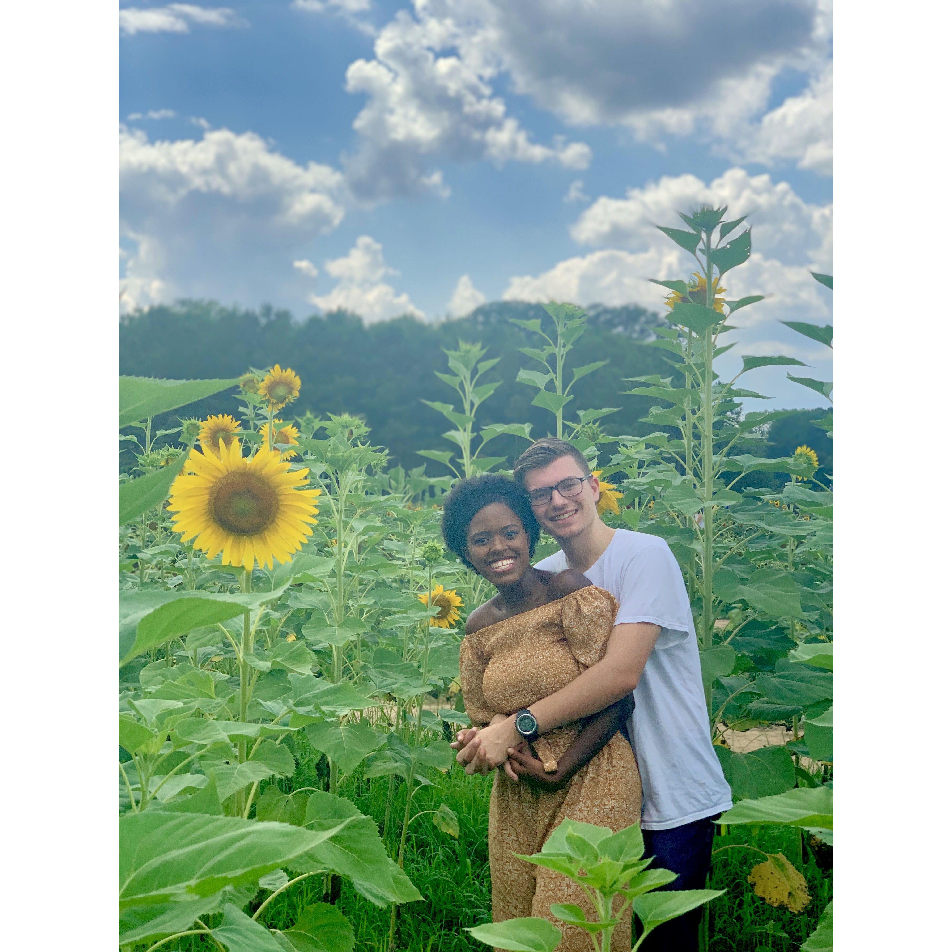Aren't they just the cutest little love bugs?