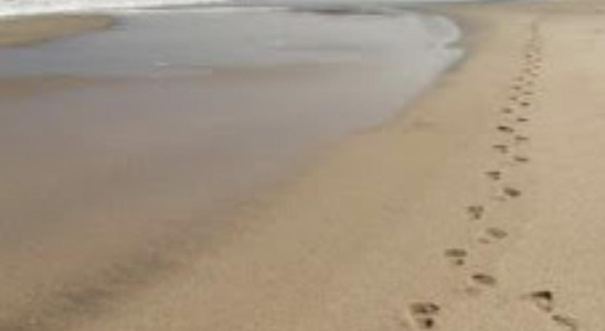 Footer image