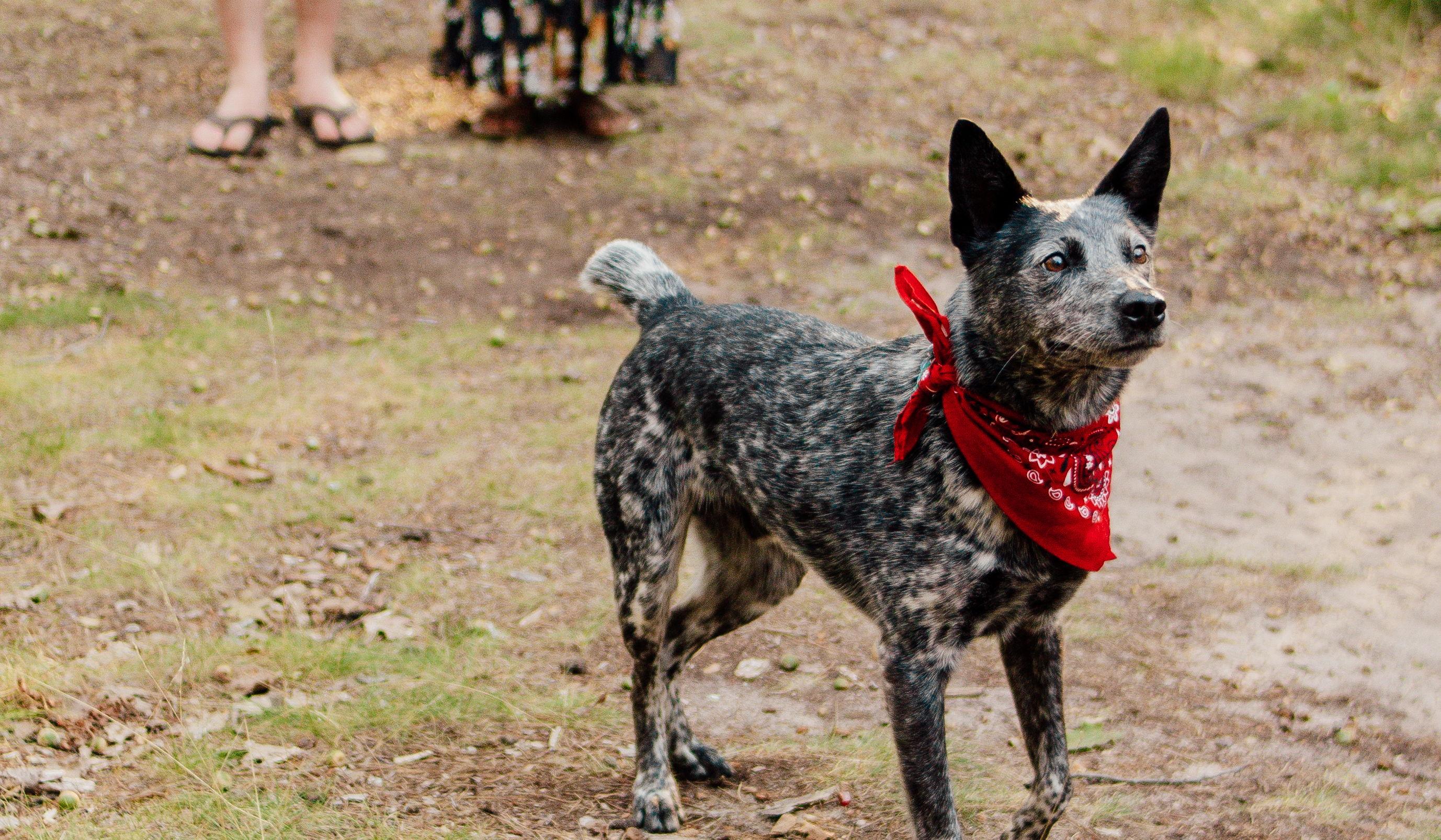 Hero Slideshow Image 2