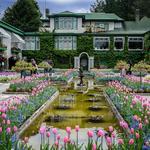 The Butchart Gardens