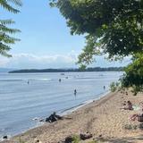Beach Day?