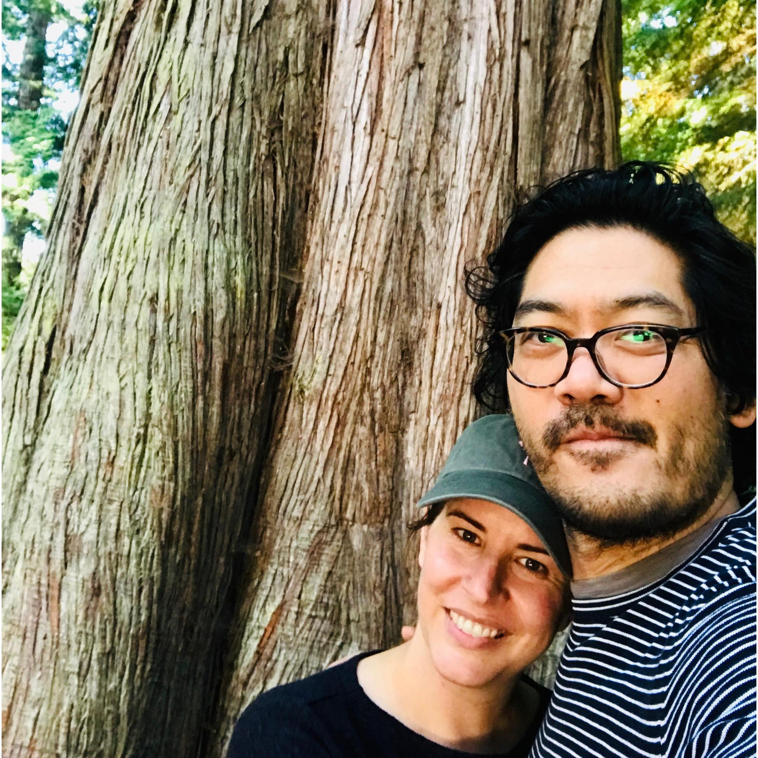 Big trees and big dreams.