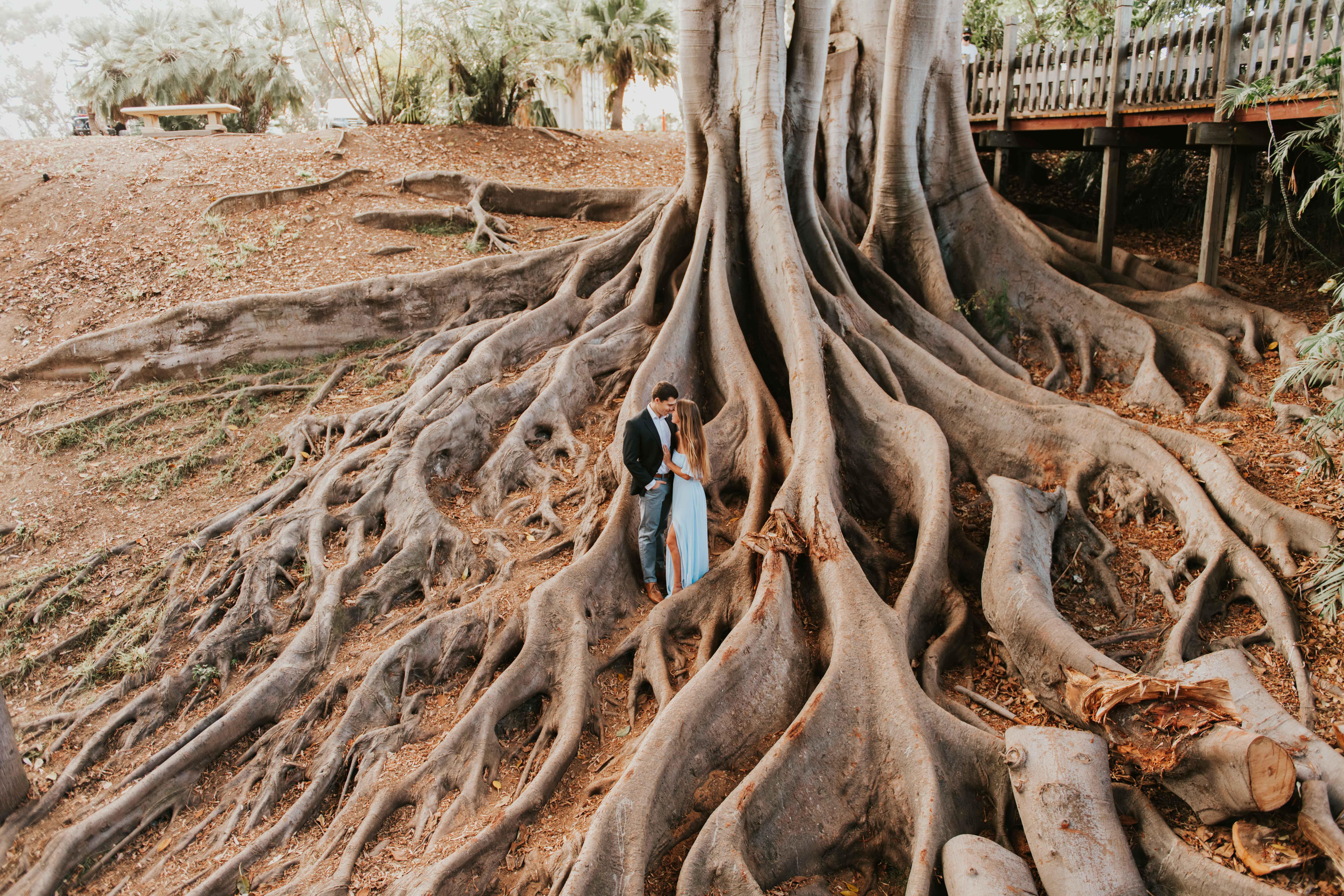 The Wedding Website of Gail Hoffman and Benjamin Burgess