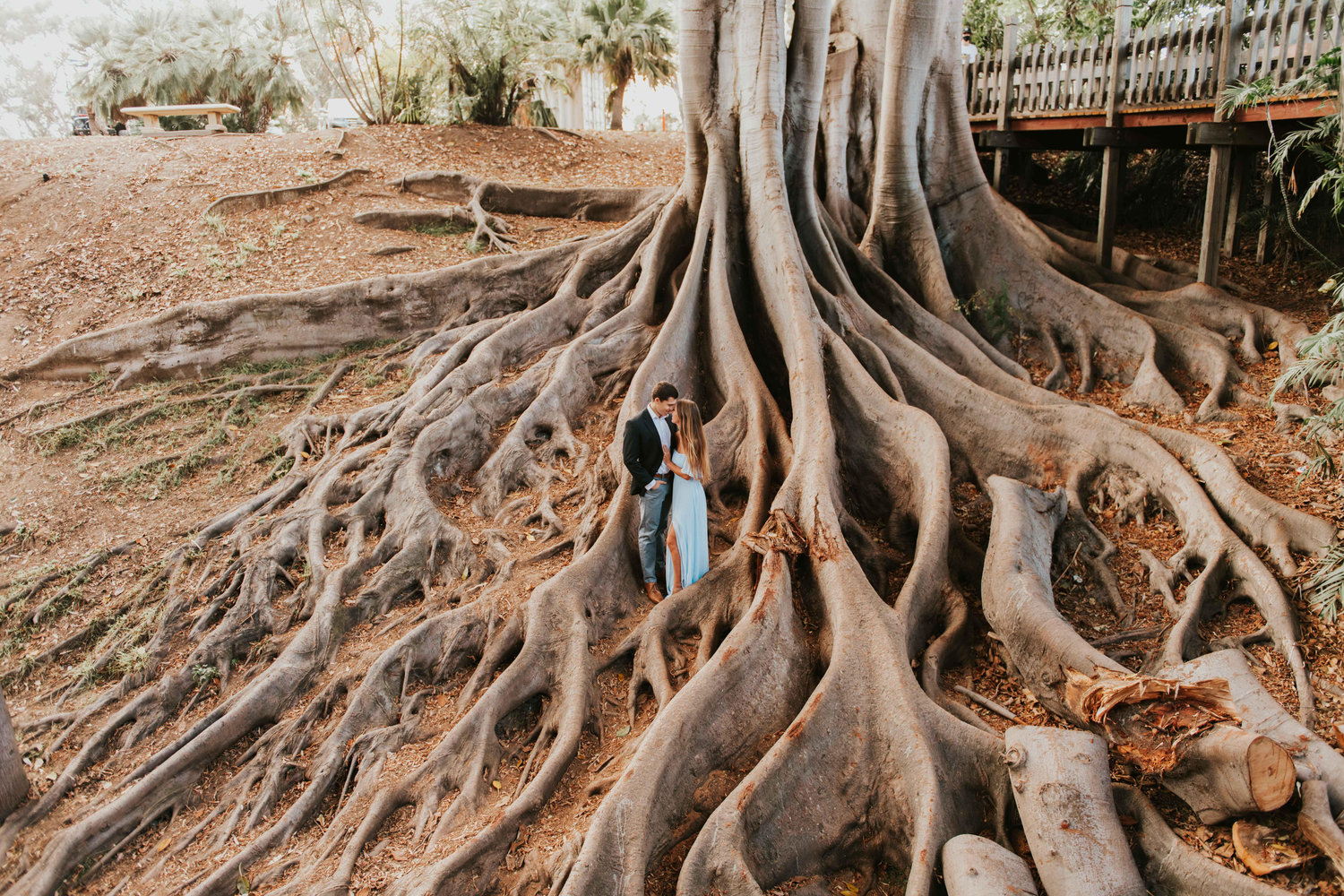 The Wedding Website of Gail Hoffman and Benjamin Burgess