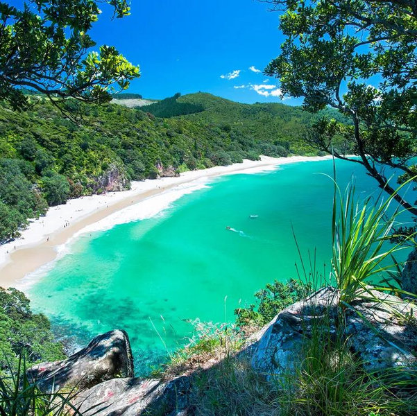 New Zealand Honeymoon December 2027