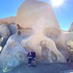 Visit Joshua Tree National Park