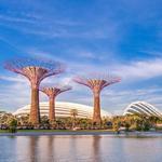 Gardens by the Bay