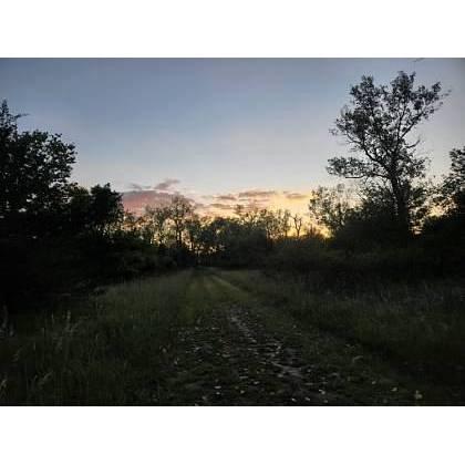 Sunset picture from the night we got engaged, since Angela truly believed we were at Adam's Nature Preserve to see a sunset