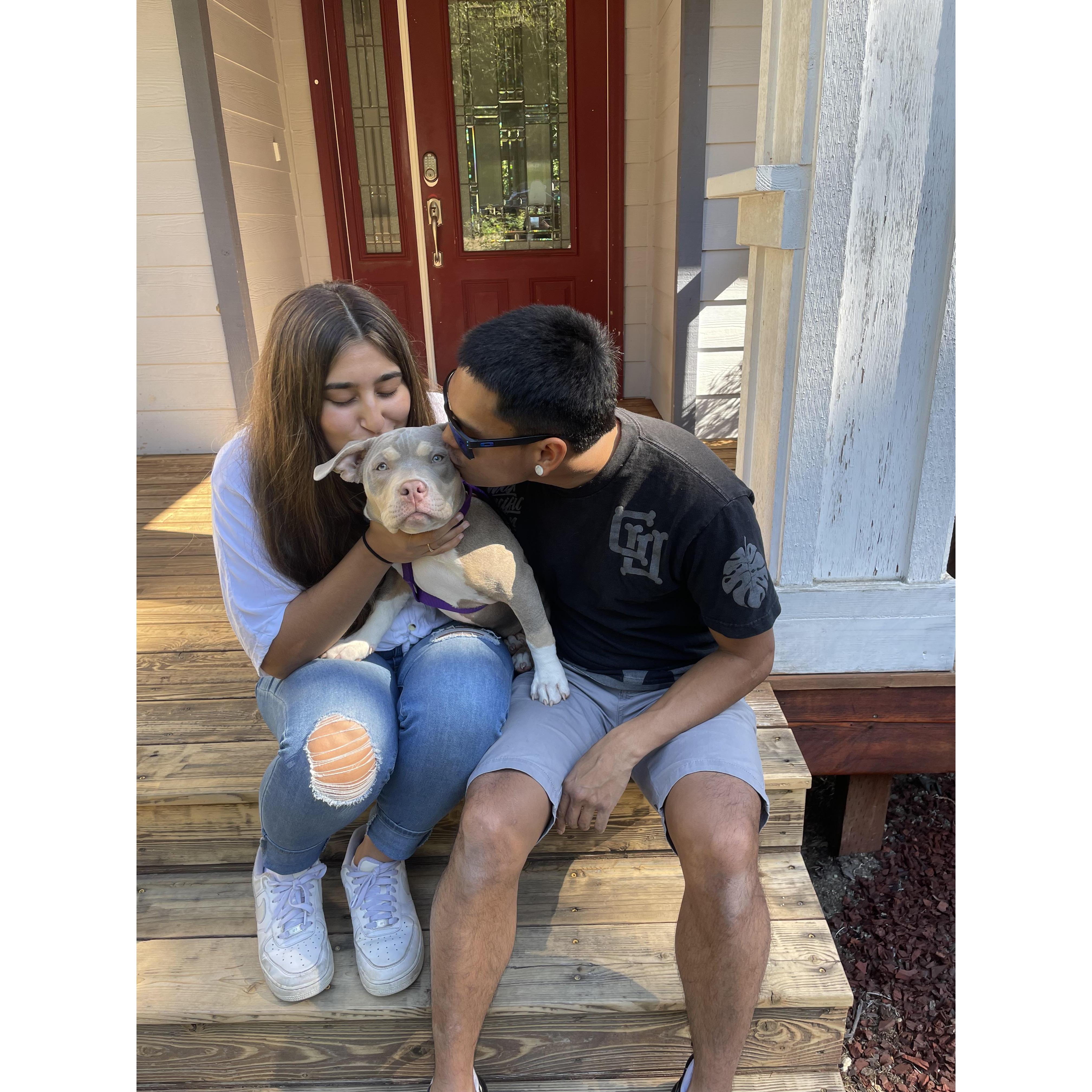 Celine and PJ welcomed Lyla to their family in July of 2021. She is a 8 month old american bully and is the center of their lives.