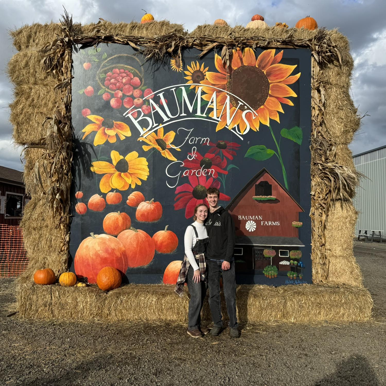 Pumpkin patch