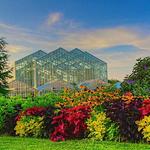 Frederik Meijer Gardens & Sculpture Park