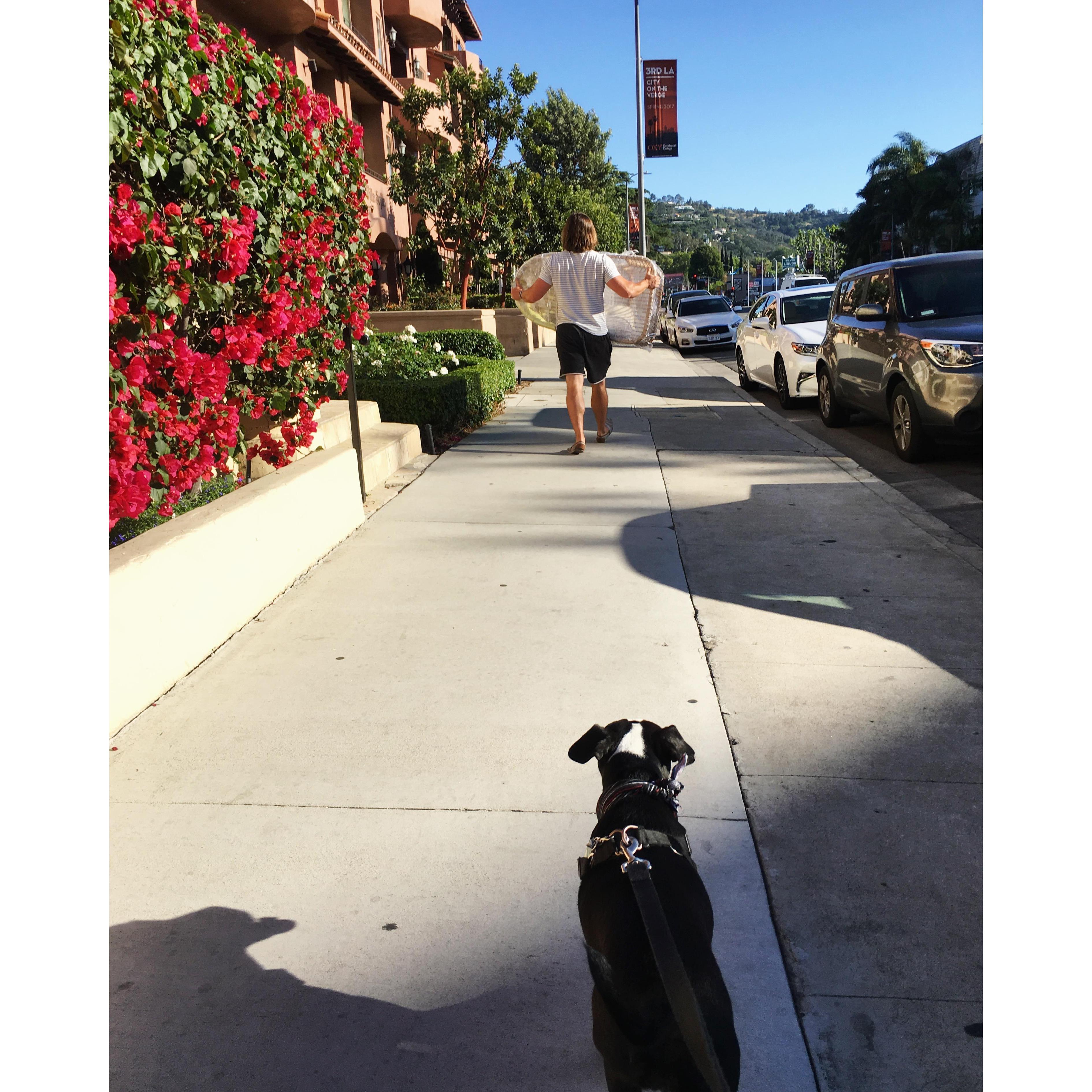 Last day in LA