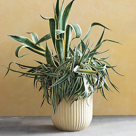 Fiber Concrete Barrel Pot