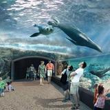 Hermann Park & Houston Zoo