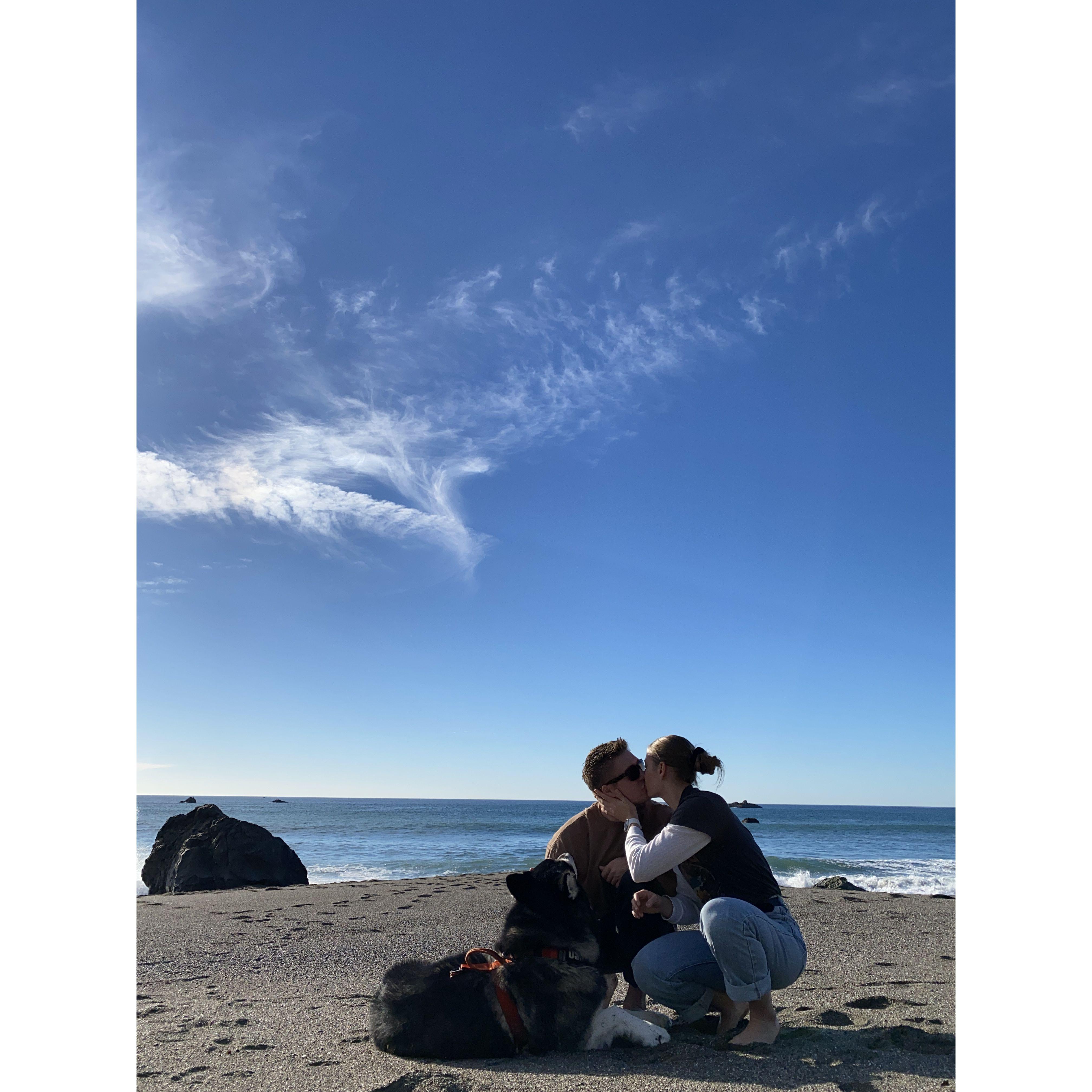 Bodega Bay 2023