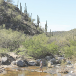 Seven Falls Hike