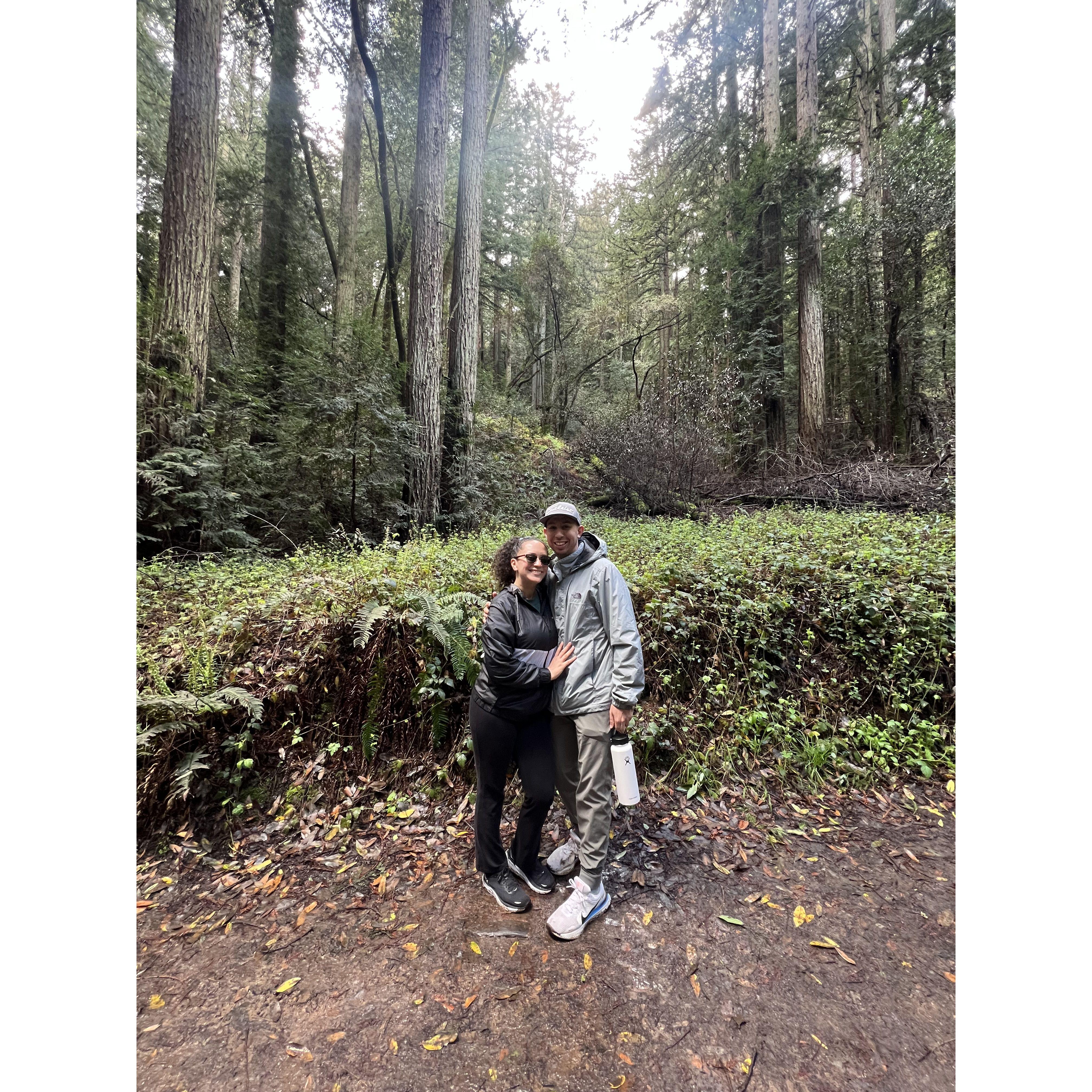 Portola Redwoods State Park