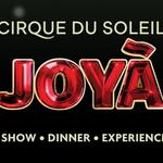 Teatro Vidanta "Cirque du Soleil JOYÀ"