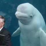 Mystic Aquarium