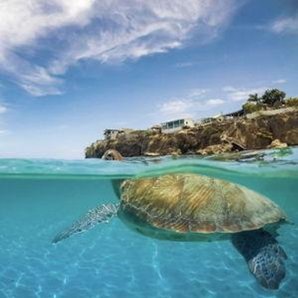 Curacao Caves & Turtle Swim Experience on our Honeymoon