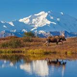 Denali National Park