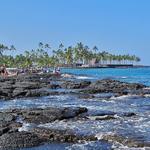 Snorkeling at Honaunau Bay