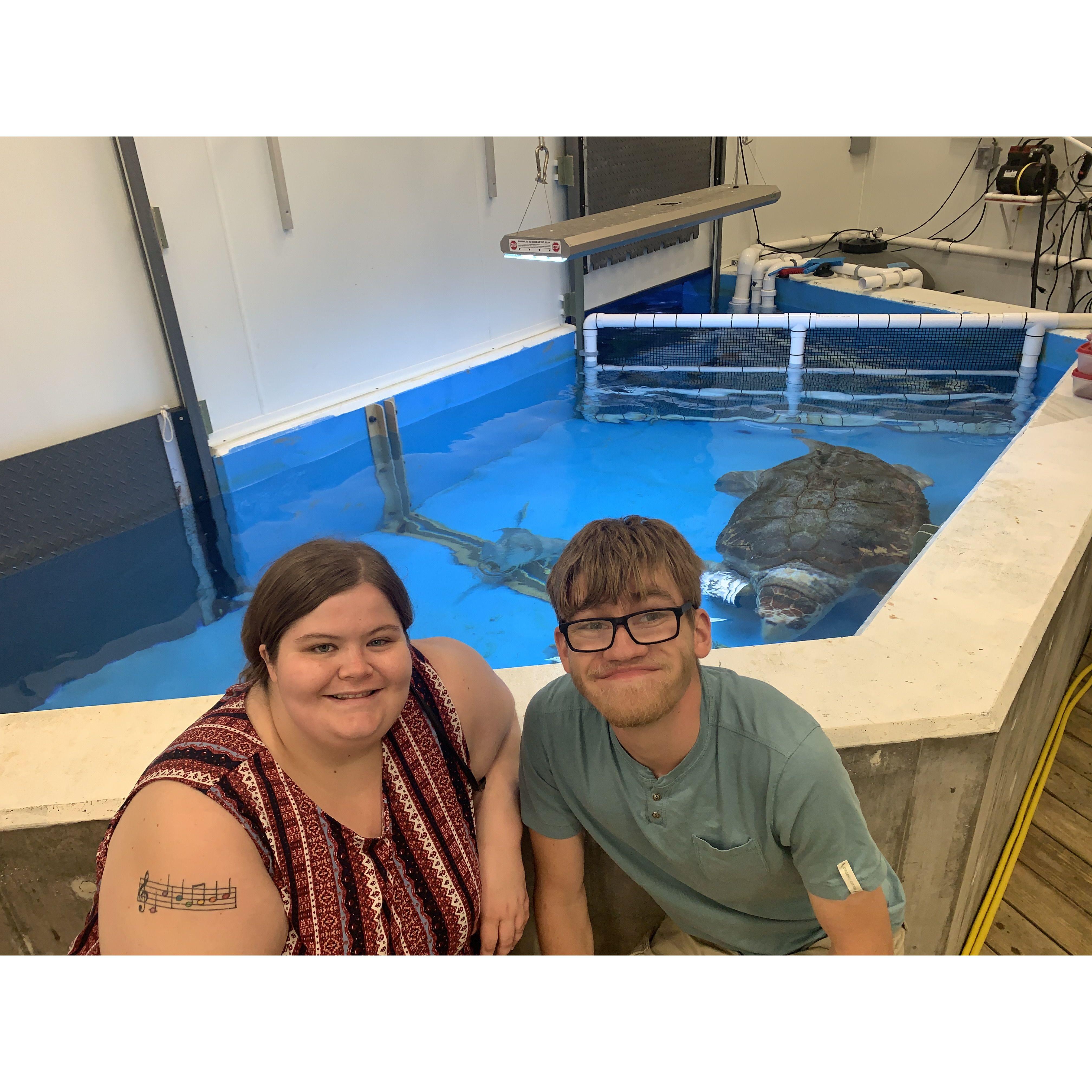 We met a sea turtle!!