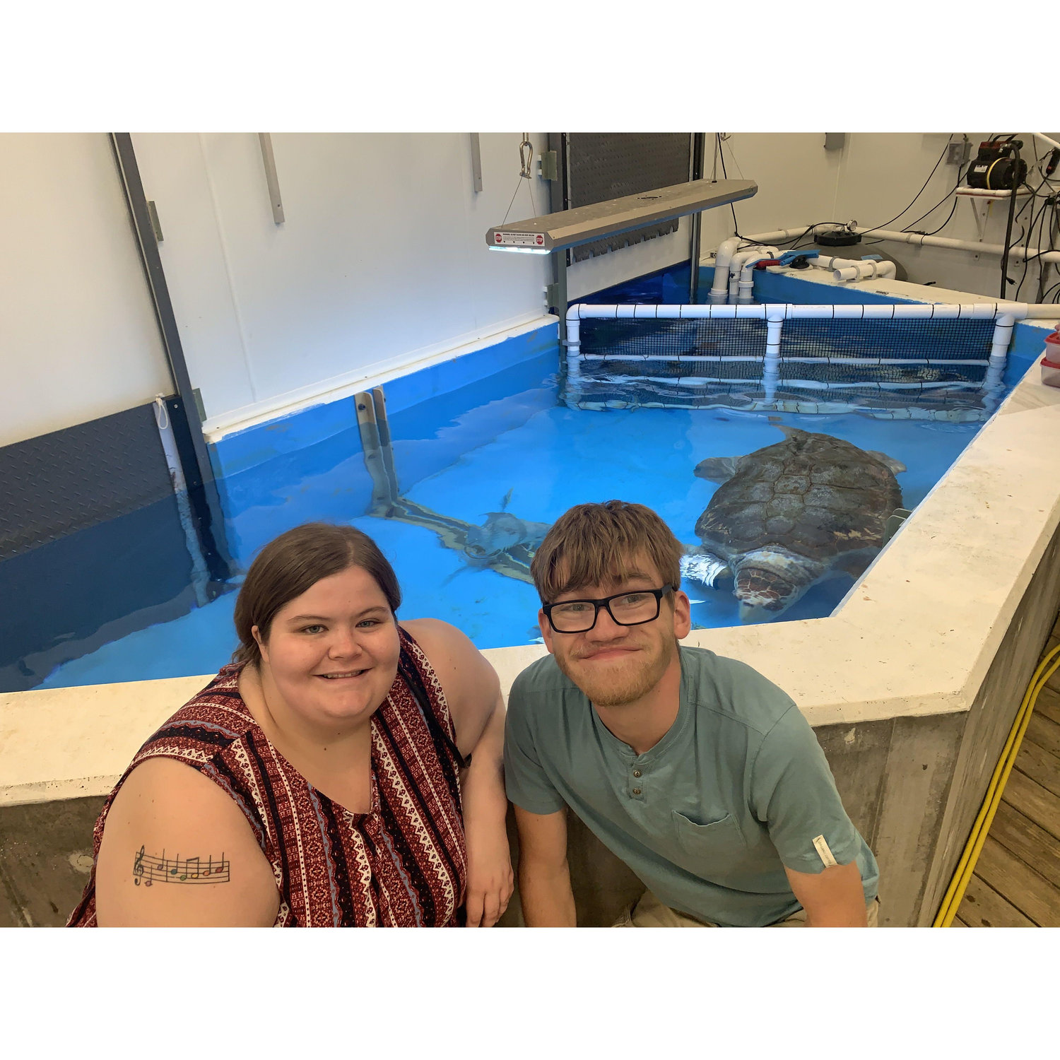 We met a sea turtle!!