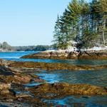 Wolfe's Neck Woods State Park
