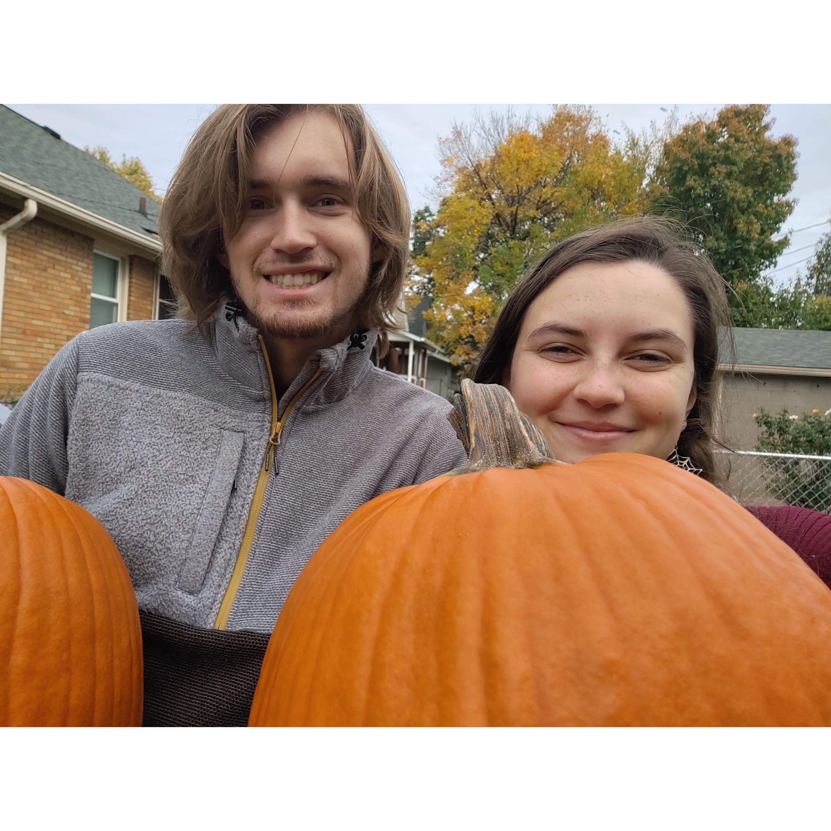 2020 Pumpkin Patch