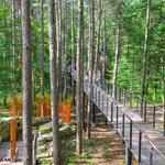 Whiting Forest of Dow Gardens