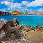 Galapagos Islands