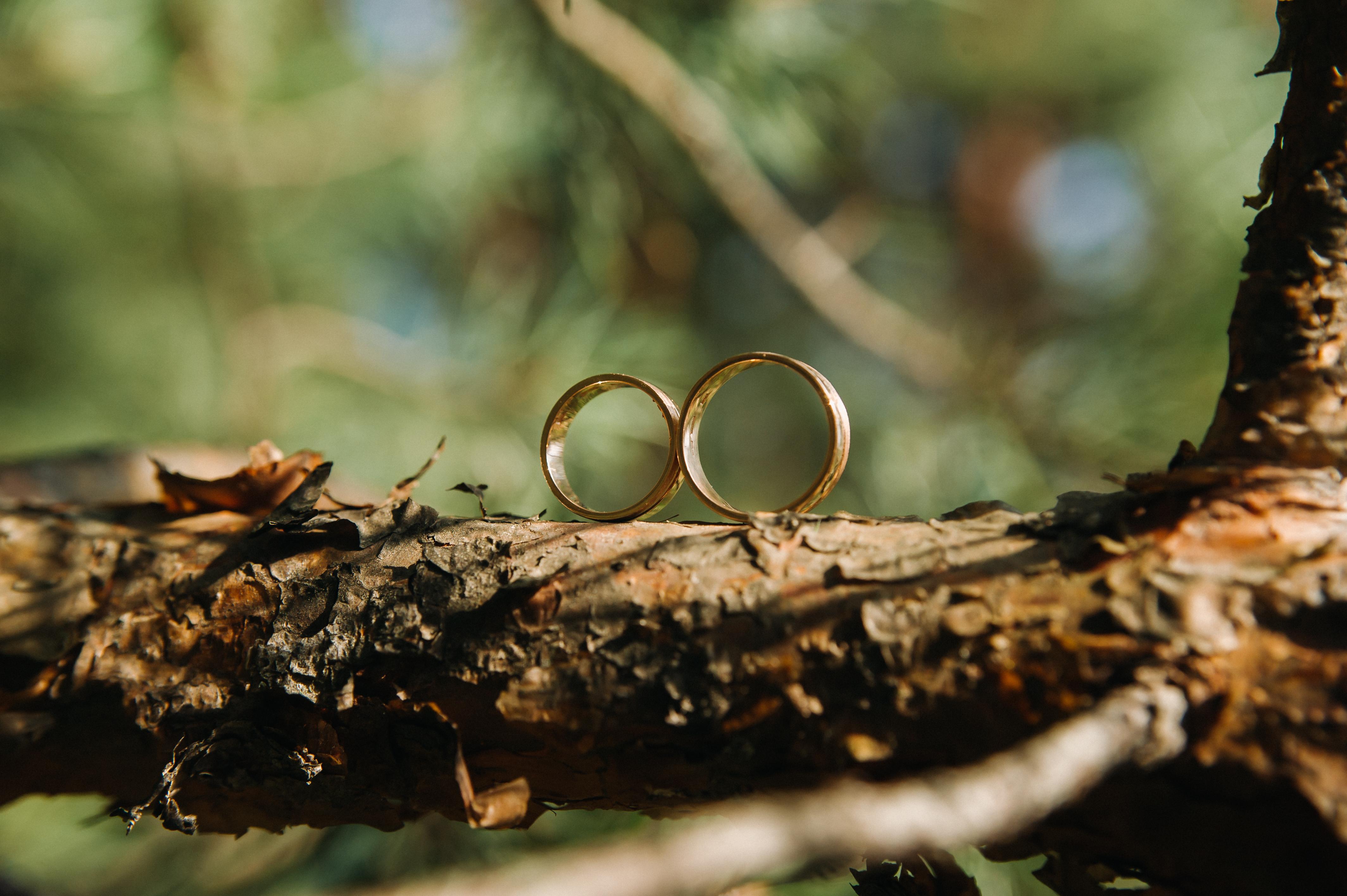 The Wedding Website of Anthony Navarro and Alexa Tapia