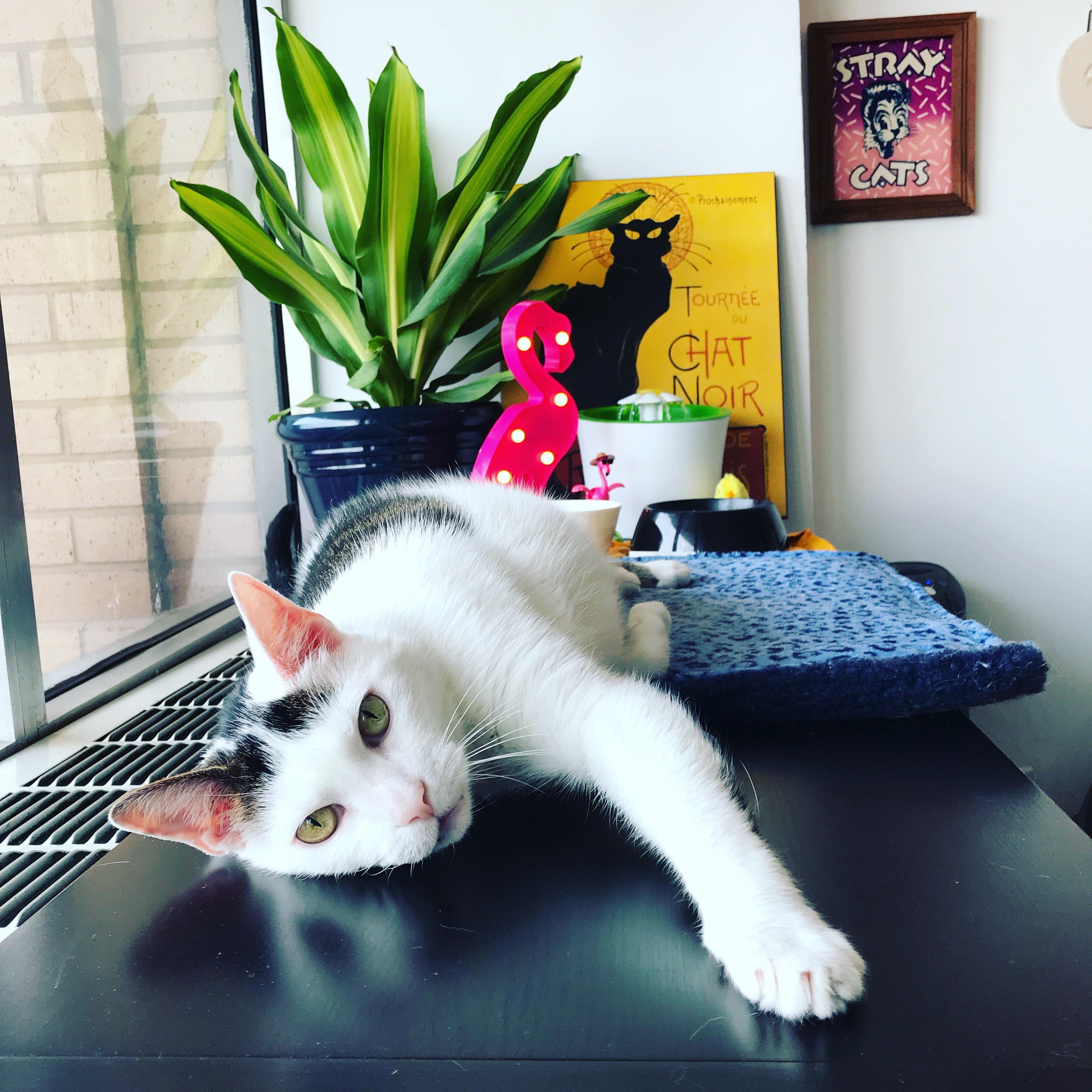 The Wedding Website of Whitney Grossman and Krista Little