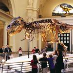 Fernbank Science Center