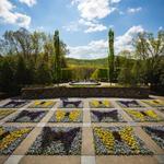 Asheville Arboretum