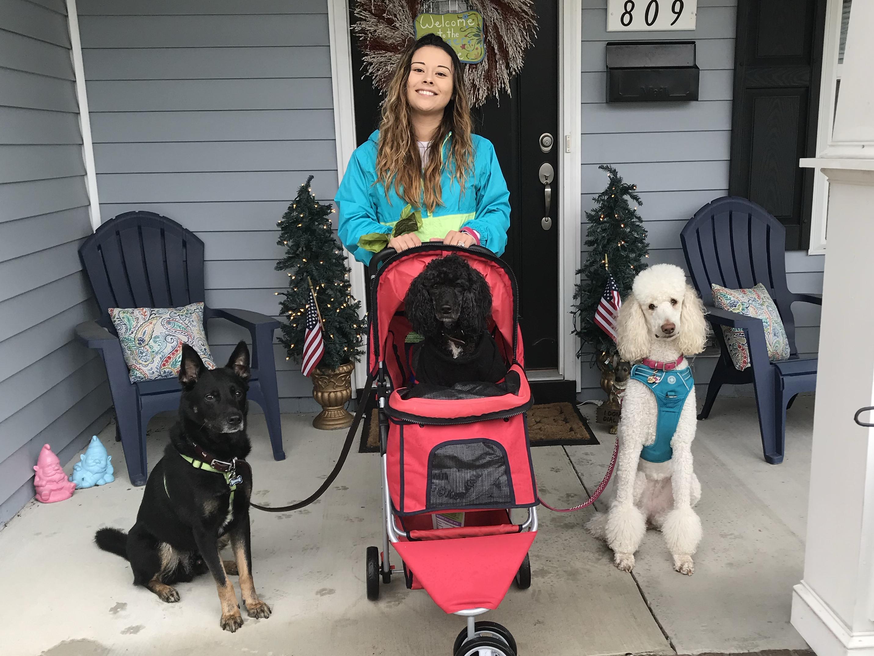 Toy & Treat Fund