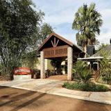 Black River, YS Falls & Appleton Rum Experience