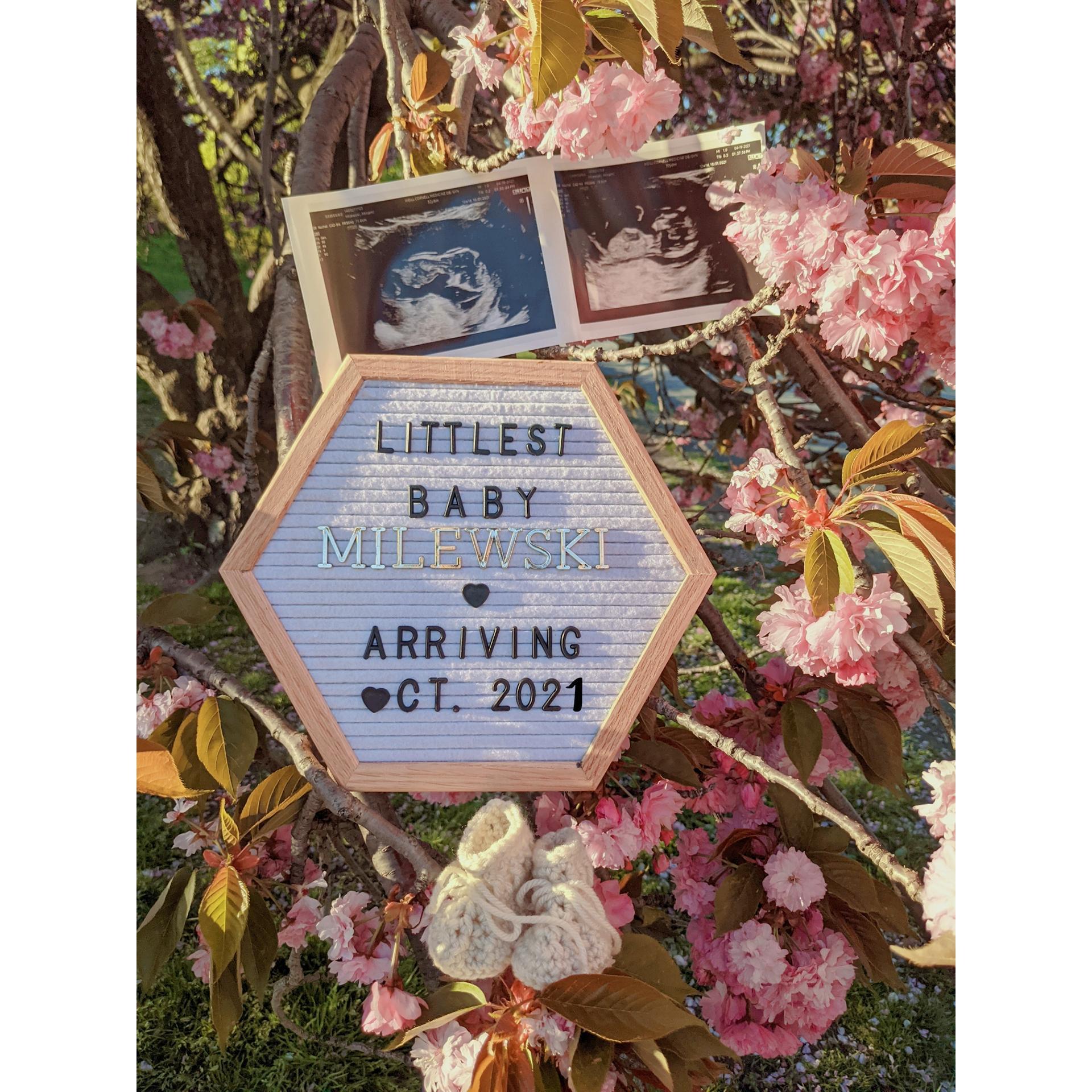Big news!! Baby is on the way