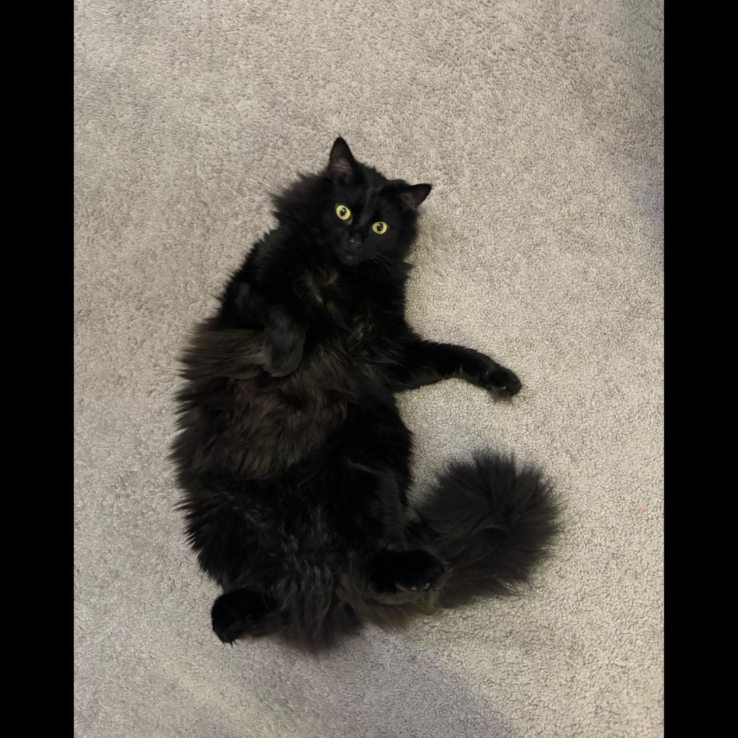 Jager’s favorite way to lay.